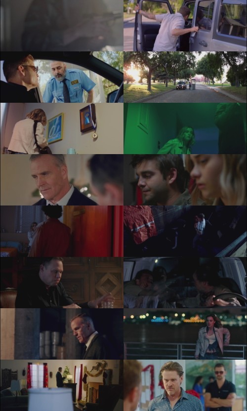 The.2nd.2020.1080p.BluRay.Hindi.English.DD5.1.x264.ESubs_s.jpg