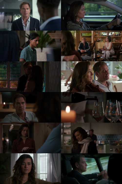Ncis.Tony.And.Ziva.S01E03.1080p.WEB-DL.Hindi-English.AAC2.0.SDR.H.264-FiberMovies.com_s.jpg