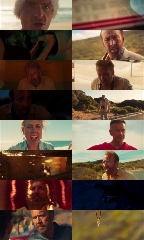 The-Surfer-2024-Hindi-ORG-Dual-Audio-www.ExtraFlix.pw-1080p-Web-DL-x264-ESubs_s.jpg