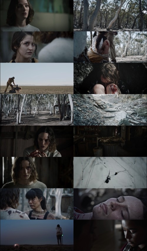 The.Furies.2019.1080p.BluRay.Hindi.English.DD2.0.x264.ESubs.Untouch_s.jpg