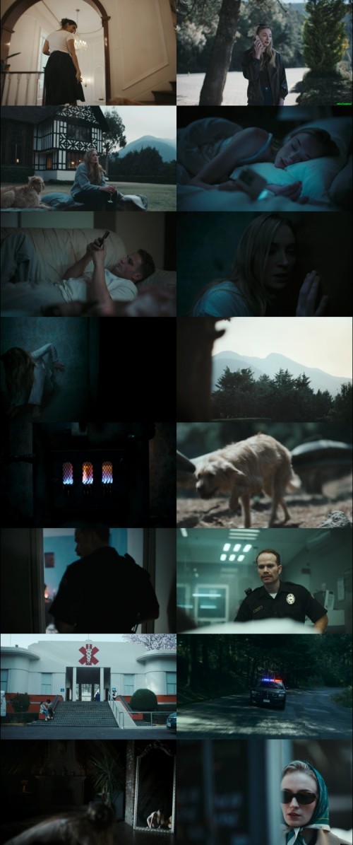 Trust-2025-www.MovFlix.in-Dual-Audio-Hindi-720p-WEB-DL_s.jpg