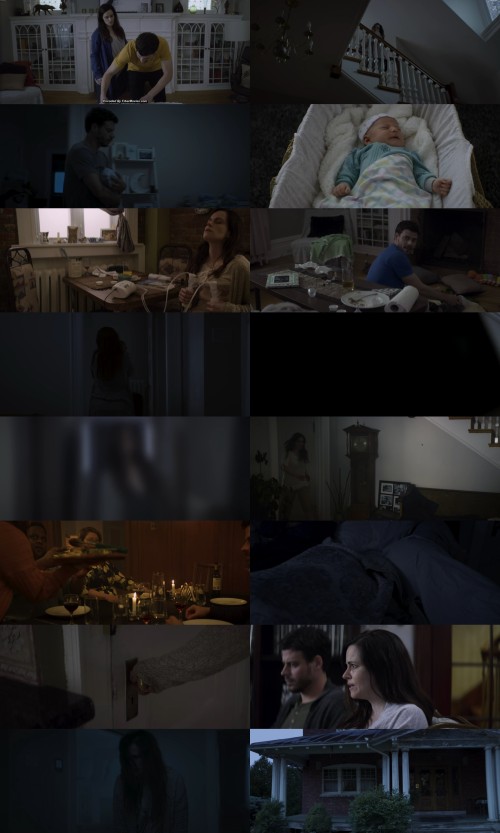 www.FiberMovies.com---Mom.2024.1080p.WEB-HDRip.Hindi.DDP2.0.MULTi.x264.ESub_s.jpg