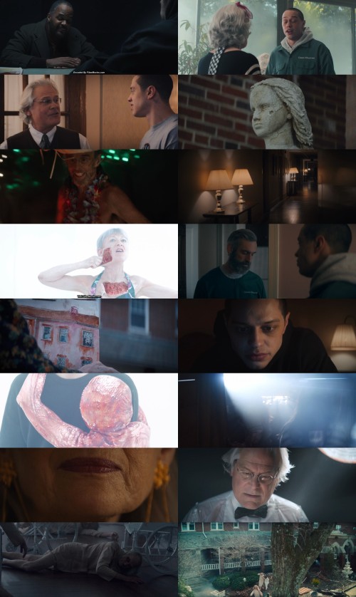 www.FiberMovies.com---The.Home.2025.1080p.BluRay.Hindi.DDP2.0-English.DD7.1.x264.ESub_s.jpg