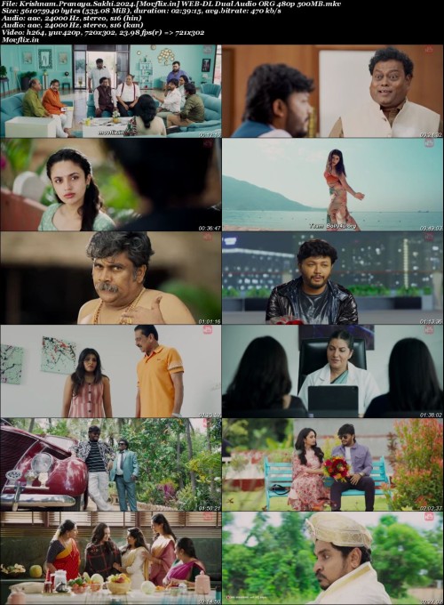 Krishnam.Pranaya.Sakhi.2024.Movflix.in-WEB-DL-Dual-Audio-ORG-480p-500MB.jpg