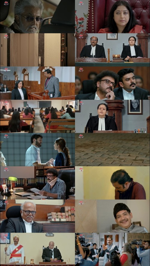 The-Judgement-2024-Hindi-www.ExtraFlix.pw-1080p-HDRip-ESubs_s.jpg