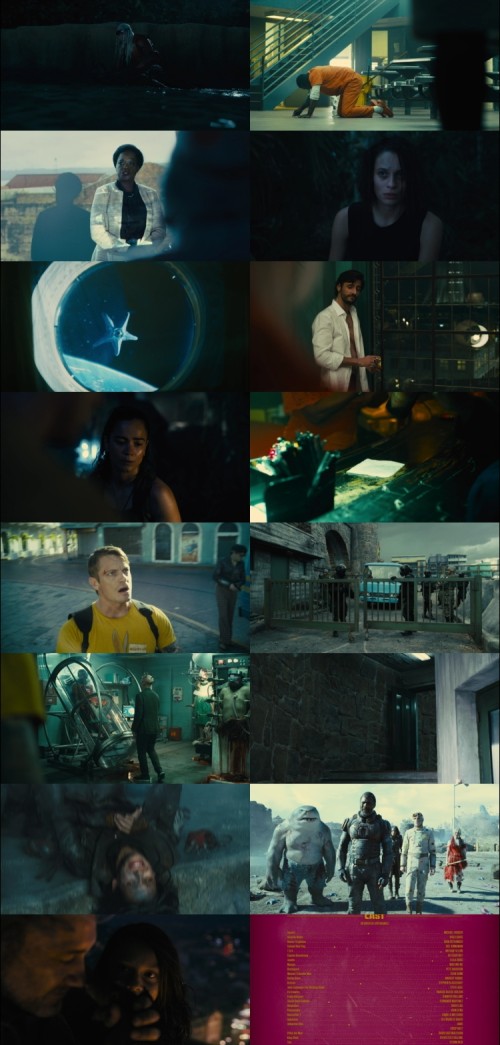 The.Suicide.Squad.2021.1080p.BluRay.Hindi.English.DD5.1.x264.ESubs.Untouch_s.jpg