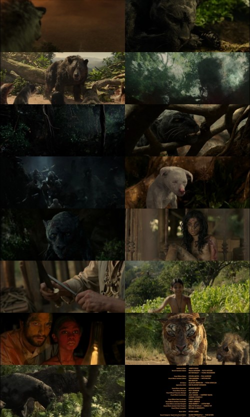 Mowgli.The.legend.of.The.Jungle.2018.1080p.Web-DL.Hindi.English.DD5.1.x264.ESubs_s.jpg