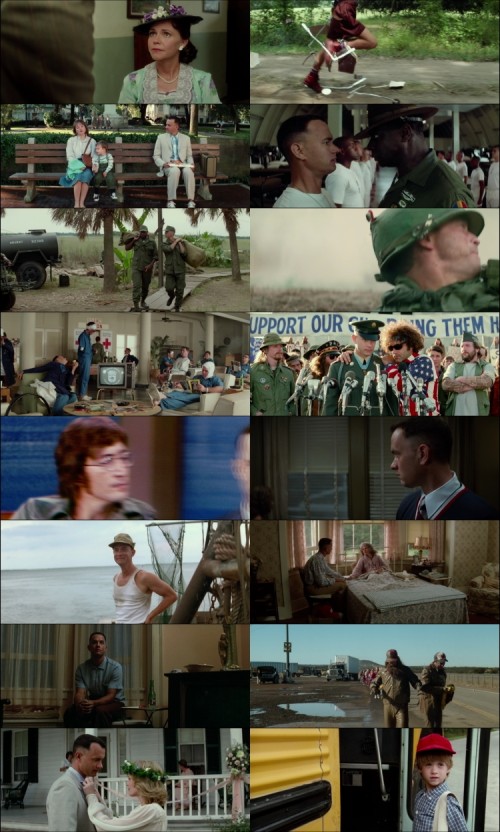 Forrest.Gump.1994.1080p.BluRay.Hindi.English.DD2.0.x264.ESubs.Untouch_s.jpg