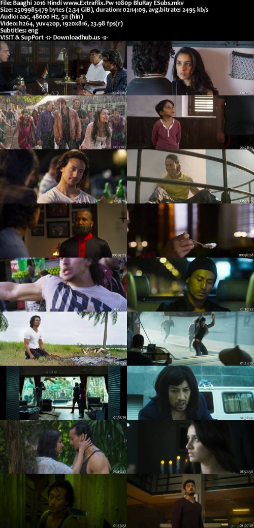 Baaghi-2016-Hindi-www.Extraflix.Pw-1080p-BluRay-ESubs_s.jpg