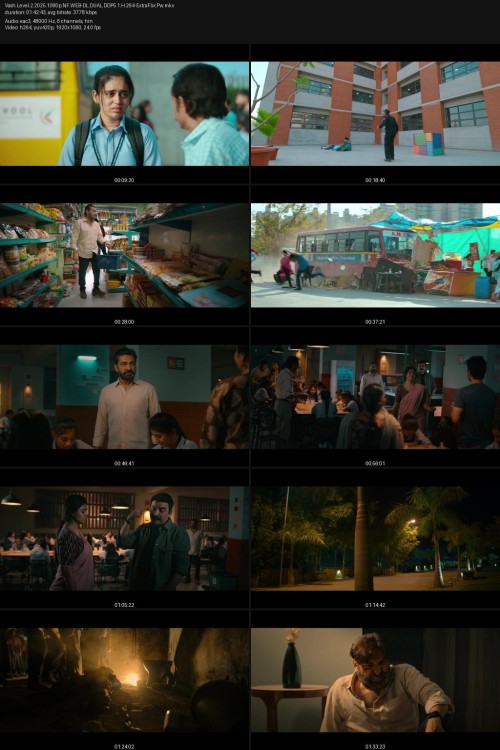 Vash.Level.2.2025.1080p.NF.WEB-DL.DUAL.DDP5.1.H.264-ExtraFlix.Pw.jpg
