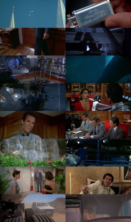 Licence.to.Kill.1989.1080p.BluRay.Hindi.English.DD2.0.x264.ESubs_s.jpg