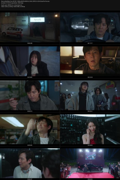 Nice.to.Not.Meet.You.S01E01.1080p.AMZN.WEB-DL.DUAL.DDP2.0.H.264-ExtraFlix.Pw.jpg