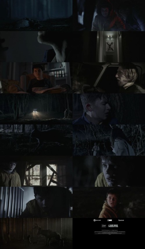 Bambi-The-Reckoning-2025-Hindi-ORG-Dual-Audio-www.ExtraFlix.pw-1080p-Web-DL-x264-ESubs_s.jpg