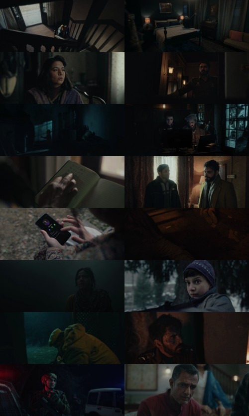 www.FiberMovies.com---Baramulla.2025.1080p.WEB-HDRip.Hindi.DDP5.1.MULTi.x264.MSubs_s.jpg