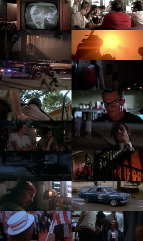 Born.on.the.Fourth.of.July.1989.1080p.BluRay.Hindi.English.DD5.1.x264.ESubs_s.jpg