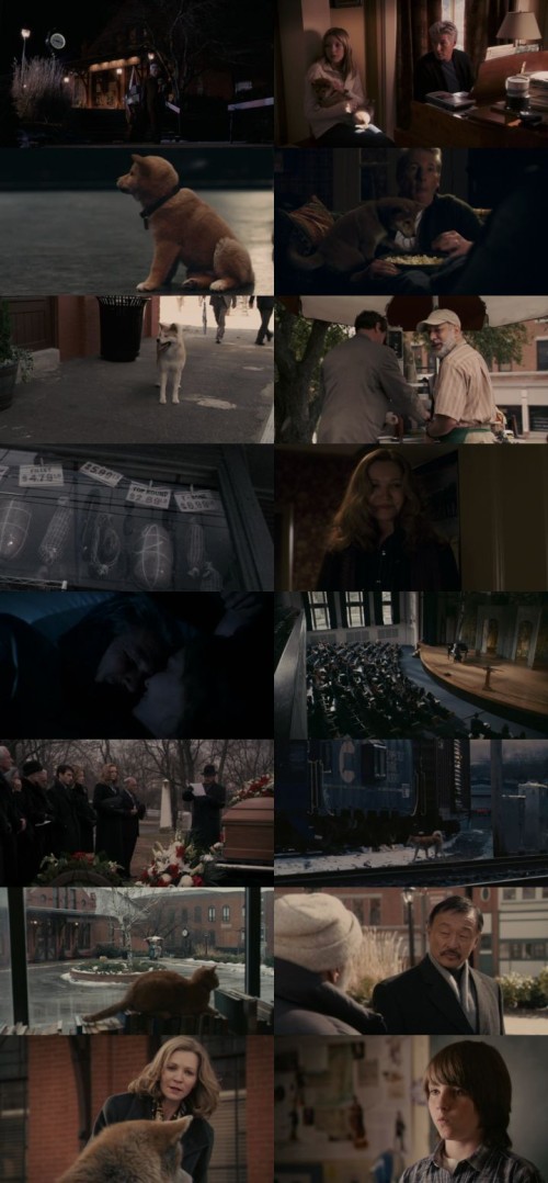 Hachi-A-Dogs-Tale-2010-Hindi-ORG-Dual-Audio-www.ExtraFlix.pw-1080p-Web-DL-x264-ESubs_s.jpg