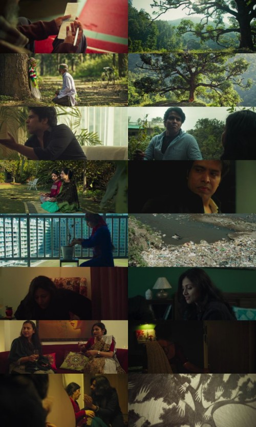 Maali.2022.1080p.Web-DL.Hindi.DD5.1.x264.ESubs_s.jpg