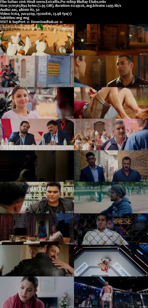 Sultan-2016-Hindi-www.Extraflix.Pw-1080p-BluRay-ESubs_s.jpg