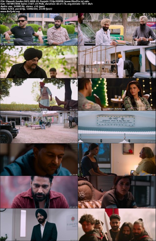 Shaunki.Sardar.2025.WEB-DL.Punjabi.720p.999MB.www.Movflix.in.jpg