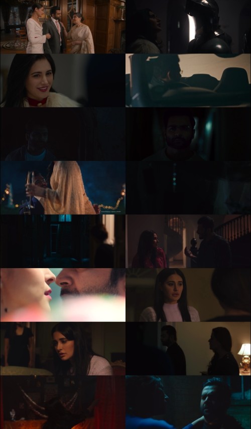 Amavas.2019.1080p.Web-DL.Hindi.DD2.0.x264.ESubs_s.jpg