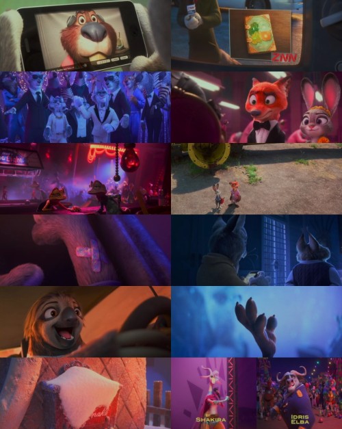 www.1Full4Movies.com---Zootopia.2.2025.1080p.WEB-DL.Hindi.Line-English.DD2.0.x264.HD_s.jpg