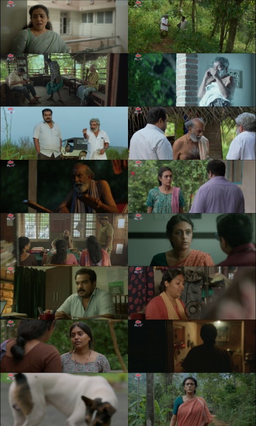 Doosri-Maa-2025-Hindi-www.ExtraFlix.pw-1080p-HDRip-x264-ESubs_s.jpg