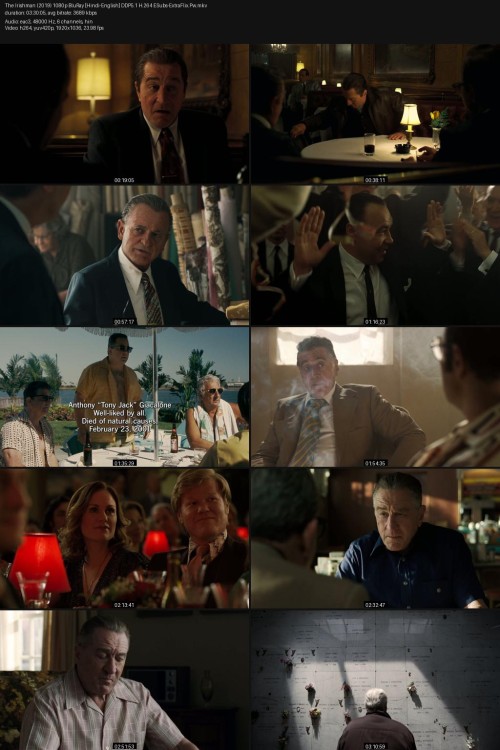 The-Irishman-2019-1080p-BluRay-Hindi-English-DDP5.1-H.264-ESubs-ExtraFlix.Pw.jpg