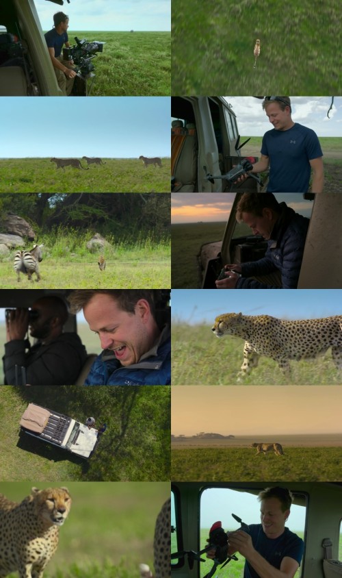 www.1Full4Movies.com---Cheetahs.Up.Close.with.Bertie.Gregory.1080p.WEB-HDRip.English.DDP5.1.x264.ESub_s.jpg