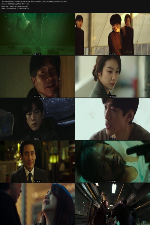 The-Villainess-2017-1080p-BluRay-Hindi-DDP2.0-Korean-DDP5.1-H.264-ESub-ExtraFlix.Pw.jpg