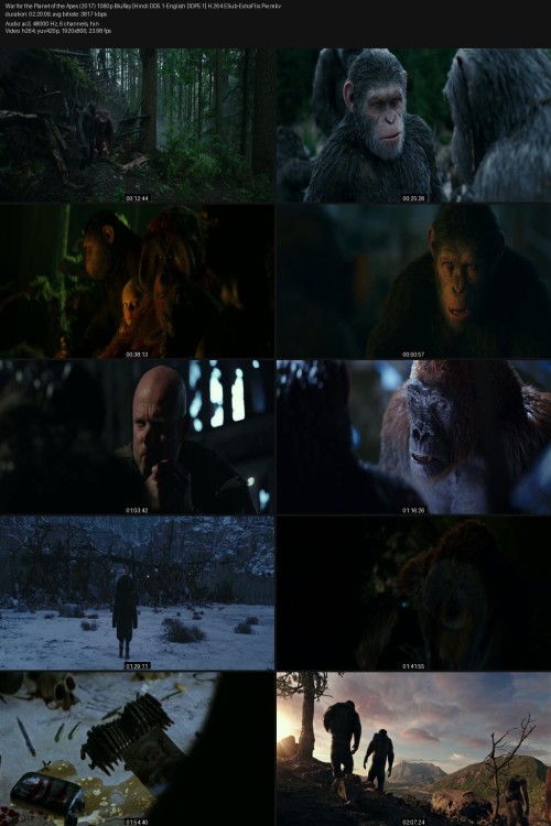 War-for-the-Planet-of-the-Apes-2017-1080p-BluRay-Hindi-DD5.1-English-DDP5.1-H.264-ESub-ExtraFlix.Pw.jpg