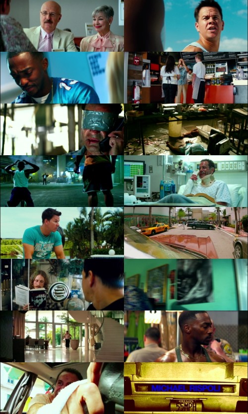 Pain..Gain.2013.1080p.BluRay.Hindi.English.DD5.1.x264.ESubs_s.jpg