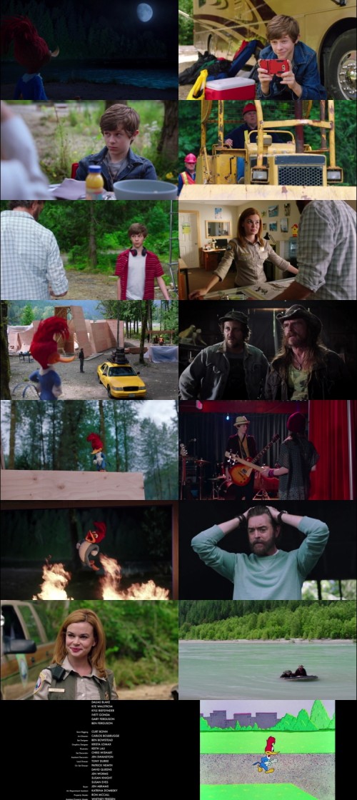 Woody.Woodpecker.2017.1080p.BluRay.Hindi.English.DD5.1.x264.ESubs_s.jpg