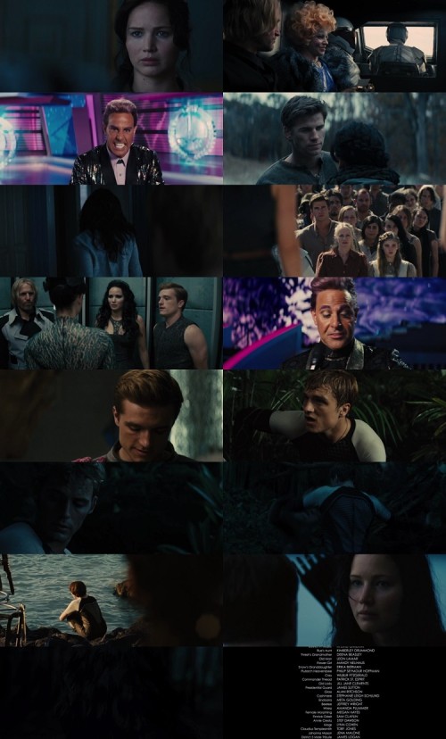 The.Hunger.Games.Catching.Fire.2013.1080p.BluRay.Hindi.English.DD5.1.x264.ESubs_s.jpg