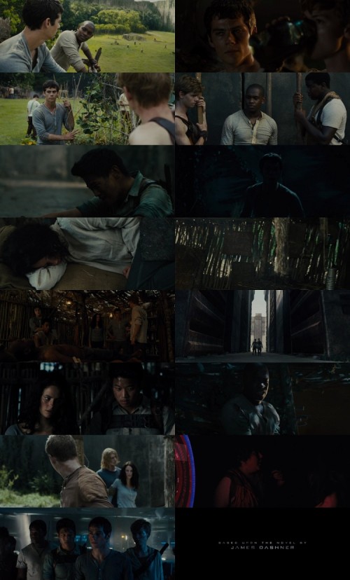The.Maze.Runner.2014.1080p.BluRay.Hindi.English.DD2.0.x264.ESubs_s.jpg