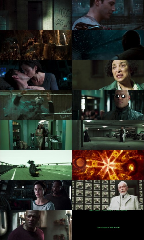 The.Matrix.Reloaded.2003.1080p.BluRay.Hindi.English.DD5.1.x264.ESubs.Untouch_s.jpg
