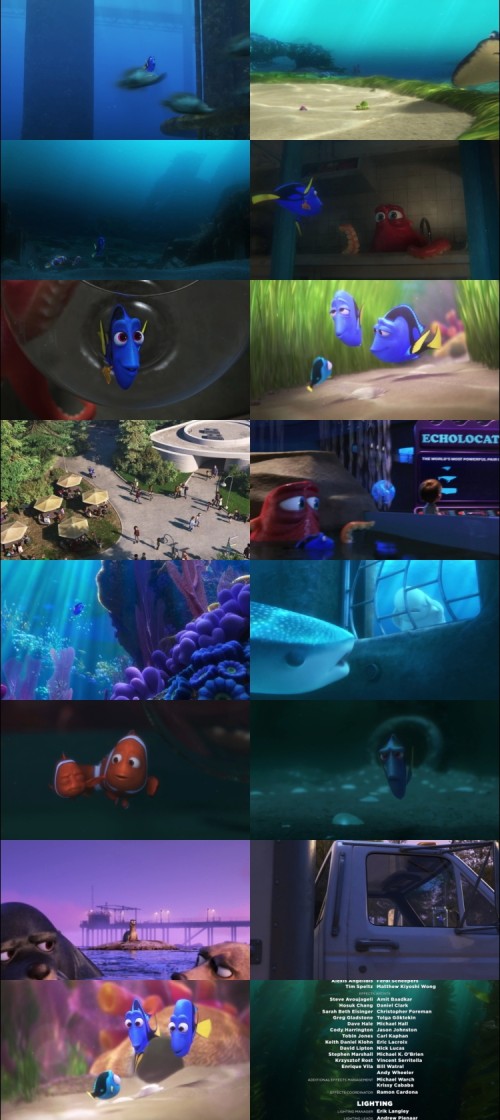 Finding.Dory.2016.1080p.BluRay.Hindi.English.DD5.1.x264.ESubs_s.jpg