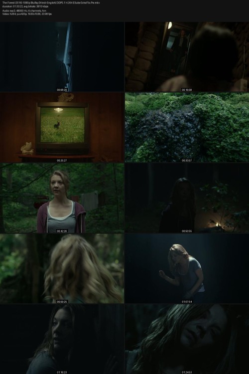 The-Forest-2016-1080p-BluRay-Hindi-English-DDP5.1-H.264-ESubs-ExtraFlix.Pw.jpg