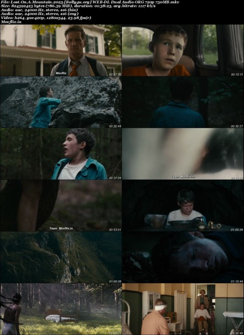 Lost.On.A.Mountain.2025.Bolly4u.org-WEB-DL-Dual-Audio-ORG-720p-750MB.jpg