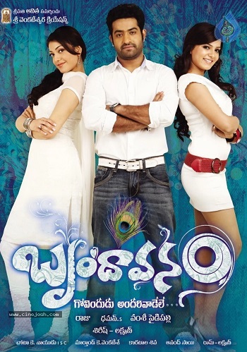 Brundavanam-2010.jpg
