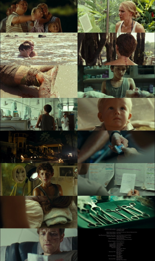 The.Impossible.2012.1080p.BluRay.Hindi.English.DD2.0.x264.ESubs_s.jpg