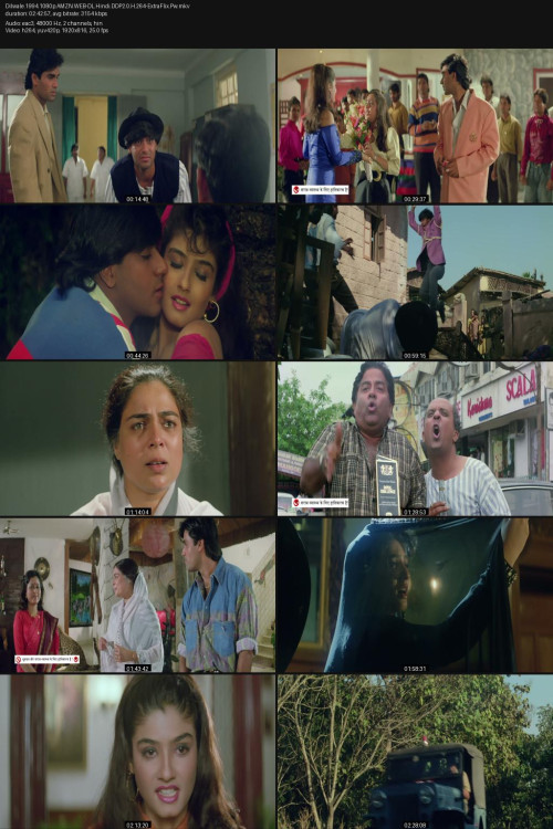 Dilwale.1994.1080p.AMZN.WEB-DL.Hindi.DDP2.0.H.264-ExtraFlix.Pw.jpg