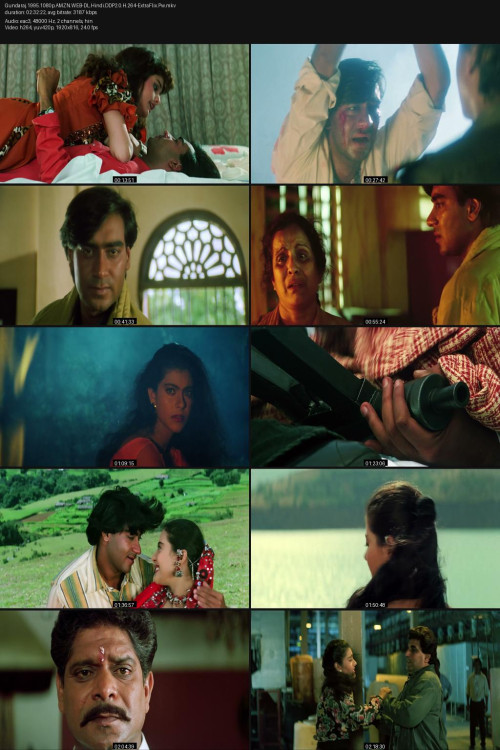Gundaraj.1995.1080p.AMZN.WEB-DL.Hindi.DDP2.0.H.264-ExtraFlix.Pw.jpg