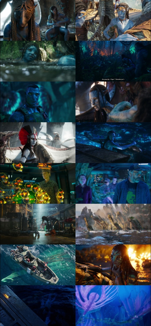 Avatar-Fire-and-Ash-2025-English-www.ExtraFlix.pw-1080p-Web-DL-x264-ESubs_s.jpg