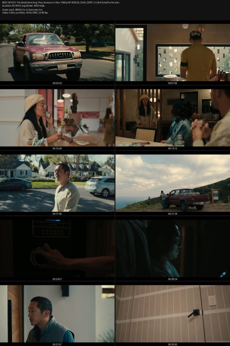 BEEF.S01E01.The.Birds.Dont.Sing.They.Screech.in.Pain.1080p.NF.WEB-DL.DUAL.DDP5.1.H.264-ExtraFlix.Pw.jpg