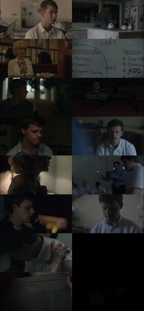 Boy.Erased.2018.1080p.BluRay.Hindi.English.DD5.1.x264.ESubs_s.jpg
