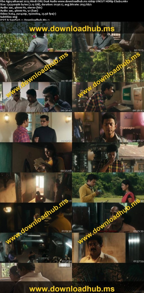 Agnyathavasi-2025-Hindi-ORG-Dual-Audio-www.downloadhub.ms-1080p-UNCUT-HDRip-ESubs_s.jpg
