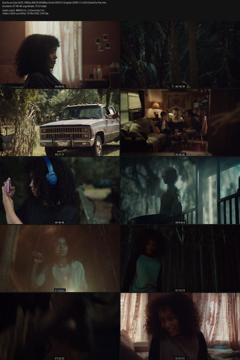 Eye.for.an.Eye.2025.1080p.AMZN.WEBRip.Hindi.DDP2.0-English.DDP5.1.H.264-ExtraFlix.Pw.jpg
