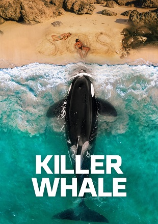 Killer-Whale-20269cfef07b24a910f9.jpg
