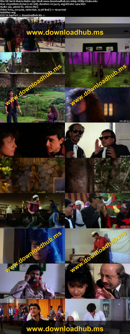Dil-Hai-Ki-Manta-Nahin-1991-Hindi-www.downloadhub.ms-1080p-HDRip-ESubs_s.jpg