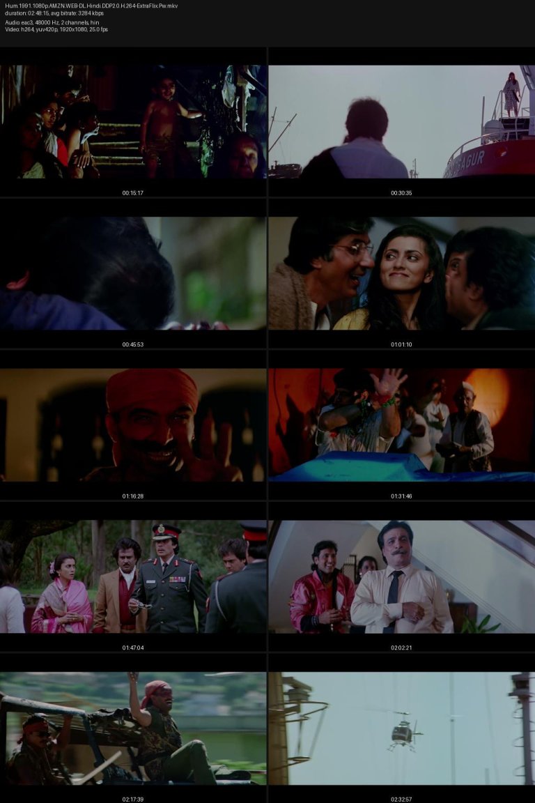 Hum.1991.1080p.AMZN.WEB-DL.Hindi.DDP2.0.H.264-ExtraFlix.Pw.jpg